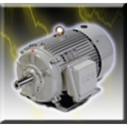 Brake Motors
